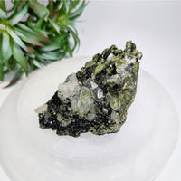Fairy Forest Epidote 3’’ w Quartz Clusters #LV9602 $160