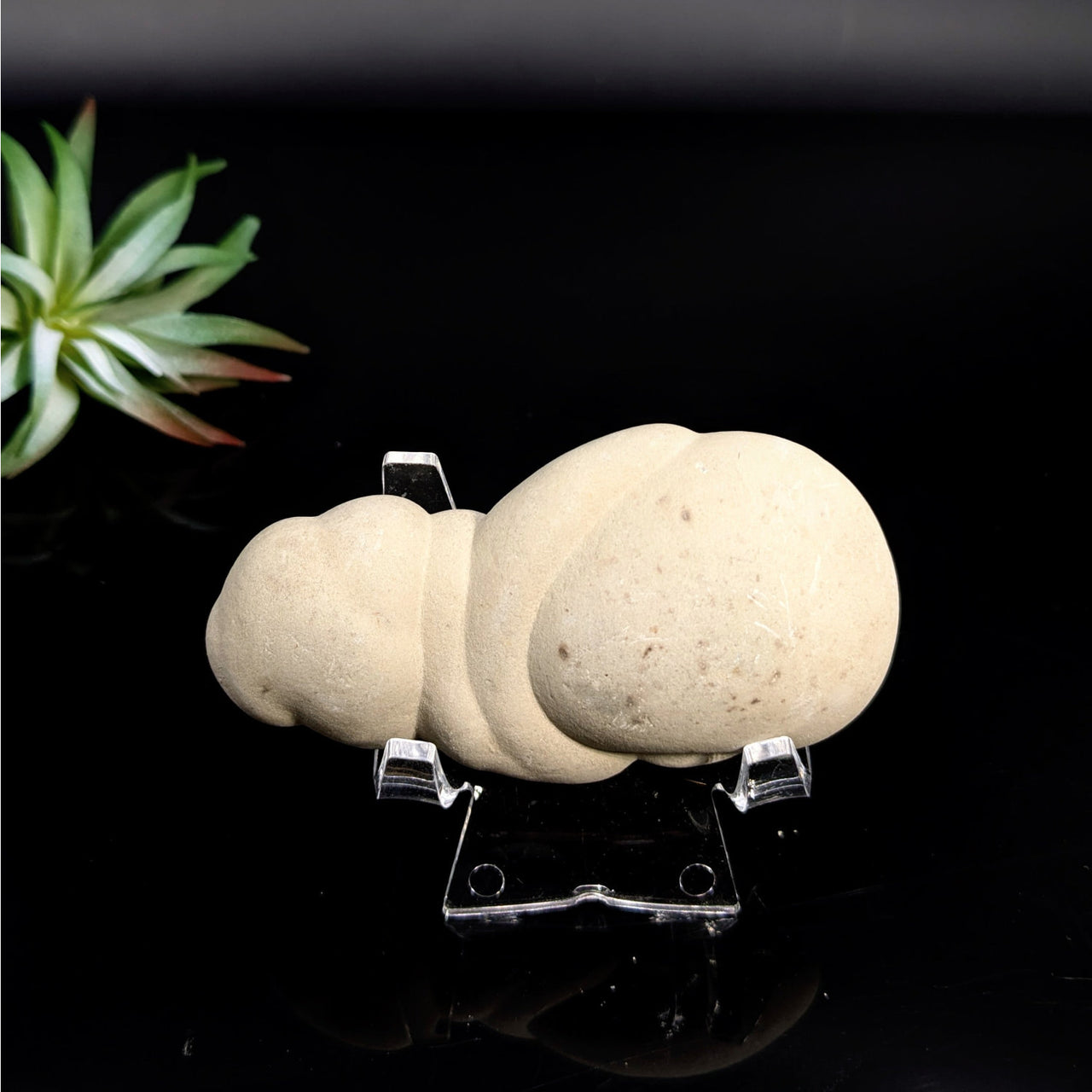 Cream-colored botryoidal mineral specimen on clear stand Fairy Stone 3.5 Concretion LV7441