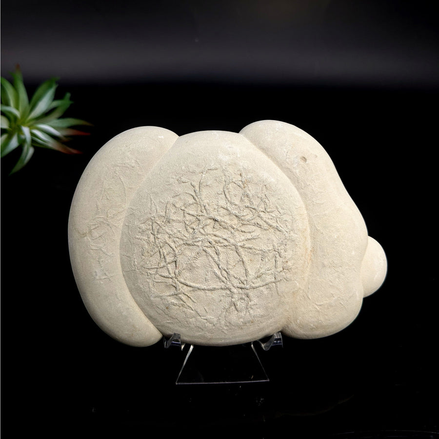 Abstract off-white textured sculpture Fairy Stone 5 Concretion LV7440 product display