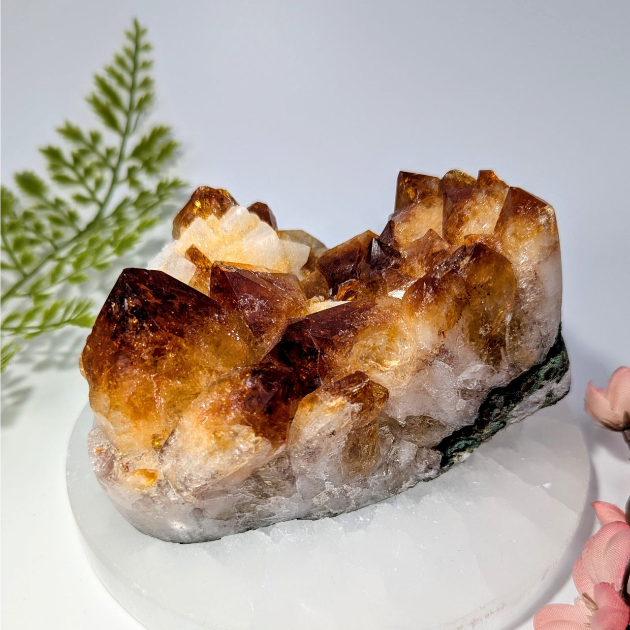 Fire and Ice Citrine 4-inch polished amber cluster #BC0756