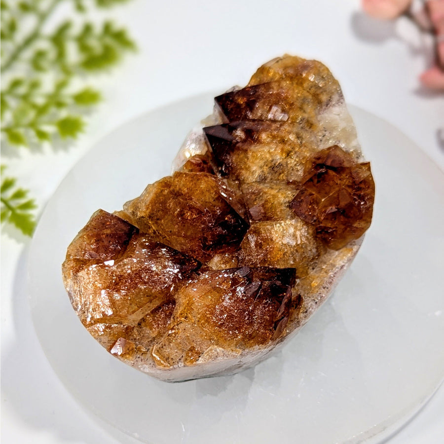 Fire and Ice Citrine 4-inch polished amber cluster #BC0757