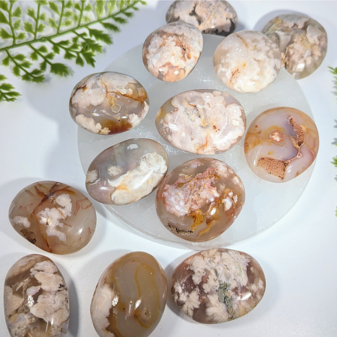 Polished oval flower agate gemstones with brown cream and orange layers on white plate for jewelry and crystals