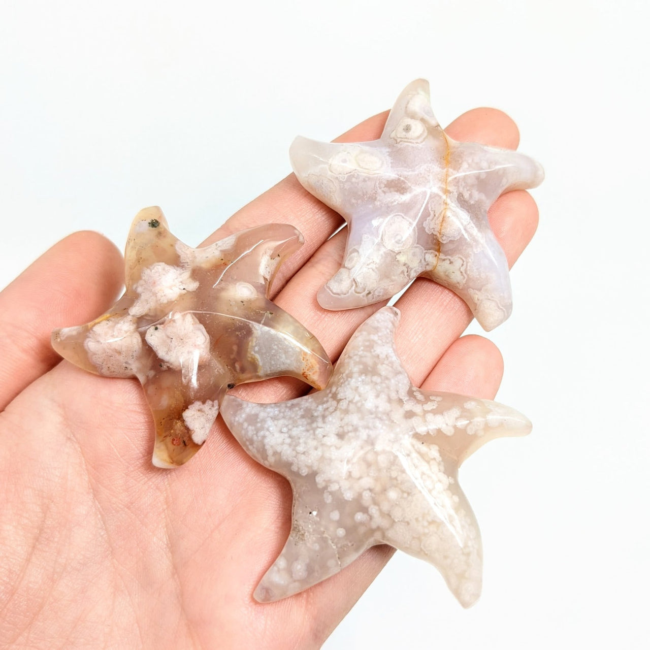 Hand holding Flower Agate Sea Star Carving against a white background