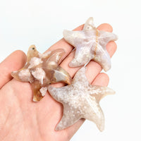 Thumbnail for Hand holding Flower Agate Sea Star Carving against a white background