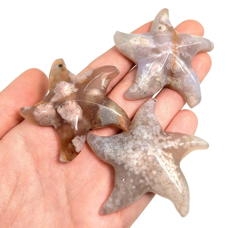 Hand holding three flower agate Sea Star carvings on a white background