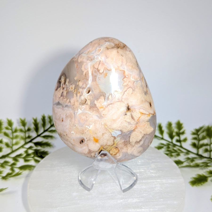 Flower Agate 3.25" Jumbo Pebble #BC1513
