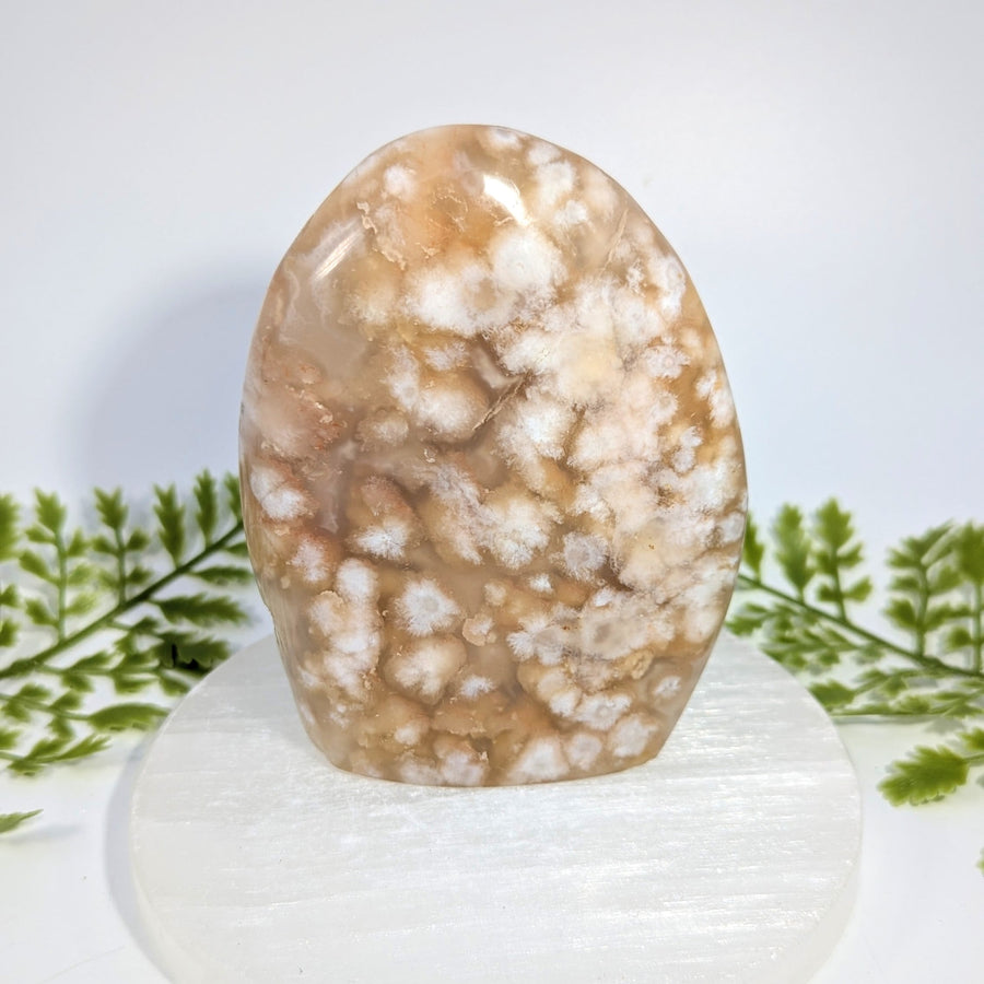 Flower Agate  4" Freeform #BC1514