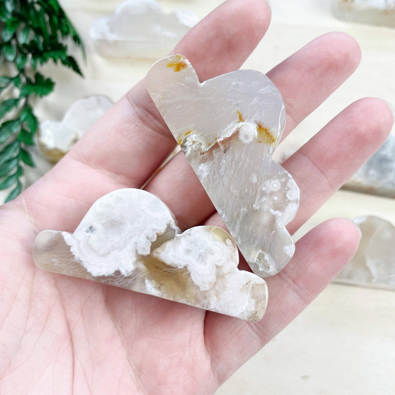 Hand holding translucent cloud-shaped flower agate stones with veining #LV9390