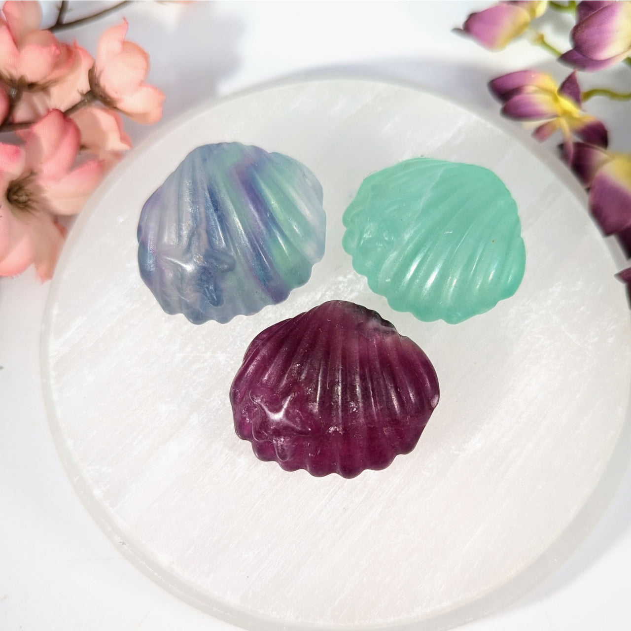 Three translucent Fluorite clam shell carving soaps in blue-purple, teal-green, magenta