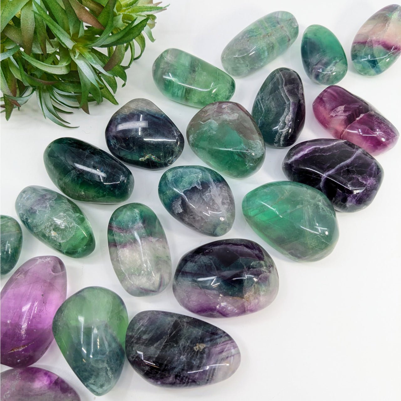 Polished Fluorite crystals in green, purple, and clear for Pebble Palm #LV6376