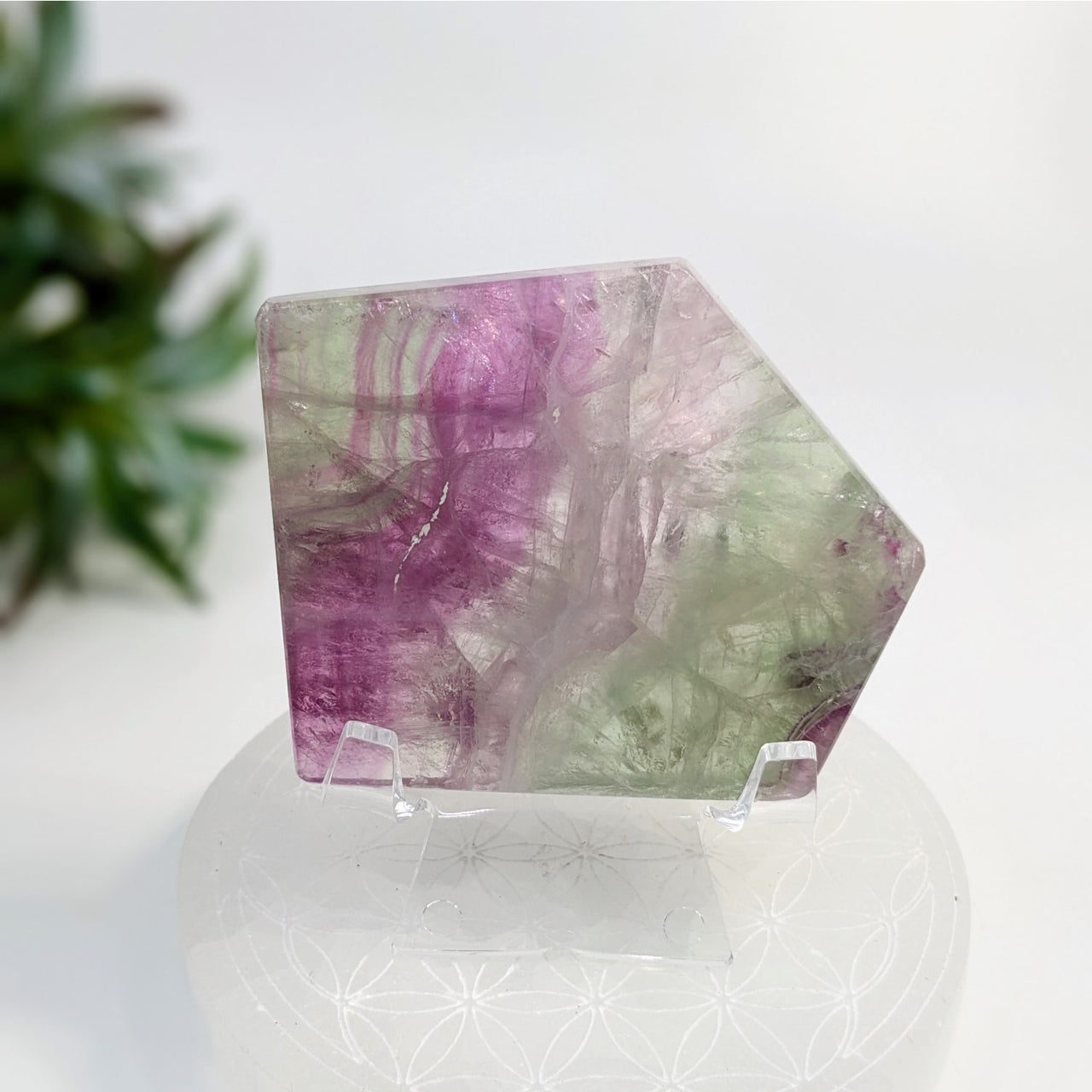 Raw Fluorite crystal with purple and green color zones in Fluorite 2.7’’ Geo Slice #LV6922