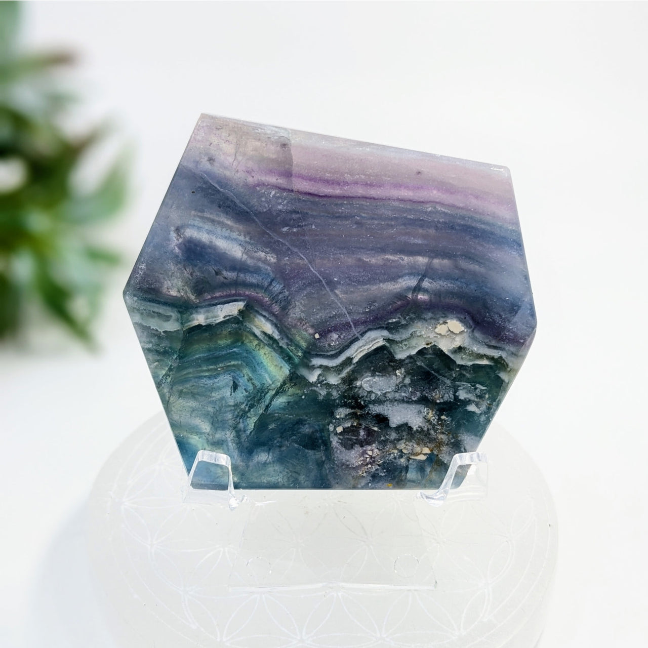 Hexagonal Fluorite Geo Slice displaying purple, blue, and green colors 2.8 inches