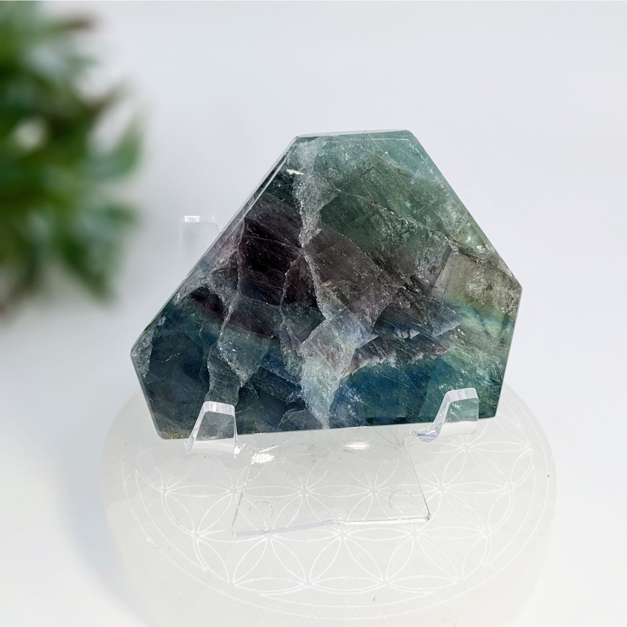 Raw blue-green Fluorite 2.8’’ Geo Slice #LV6921 showcasing geometric facets and beauty