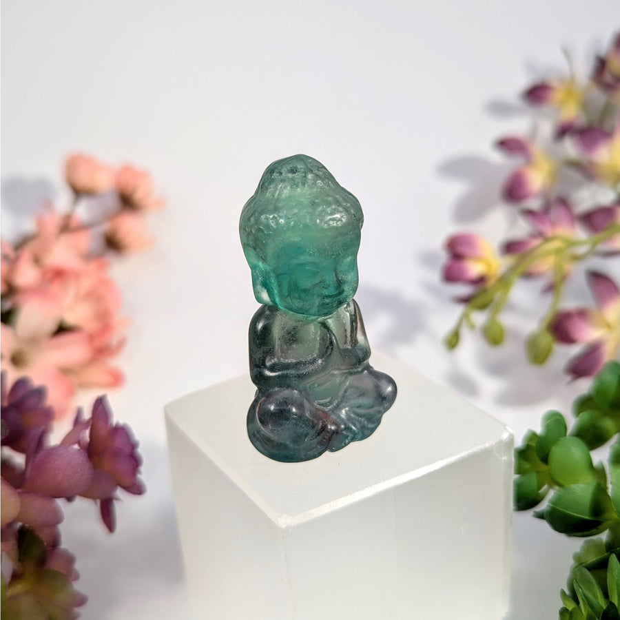 Serene 2’’ Fluorite Buddha Carving Statue #BC0090 on White Pedestal