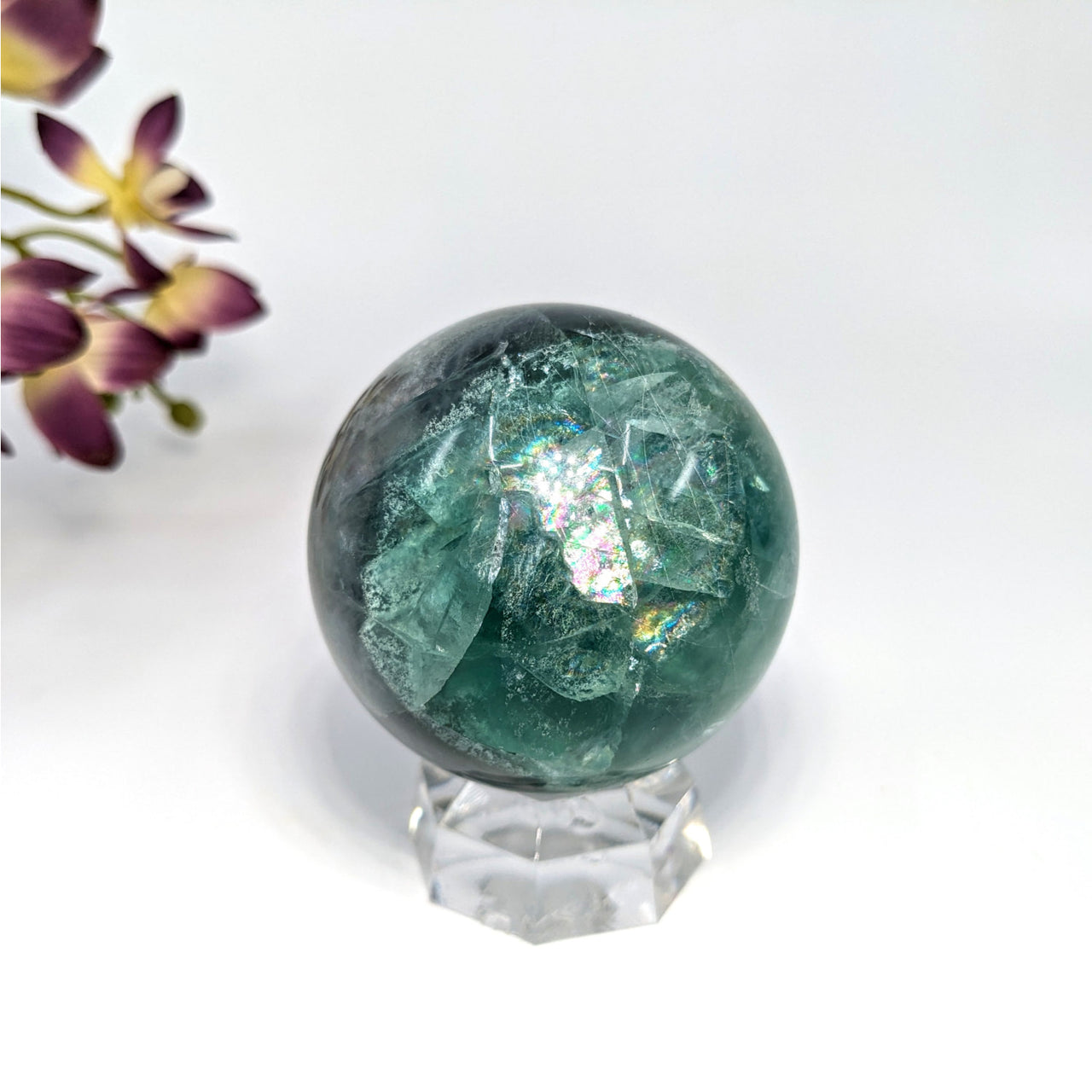 Fluorite 2’’ Sphere #LV6623 - $59