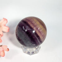 Fluorite 2’’ Sphere #LV9747 - $89