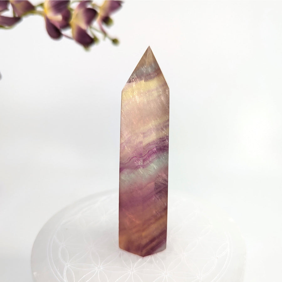 Polychromatic Fluorite Crystal Point in Fluorite 3.5 Inch Tower #LV8229