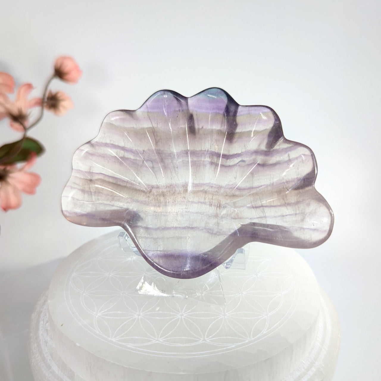 Translucent purple and white Fluorite Seashell Carving in Fluorite 3.7-inch Shell Bowl