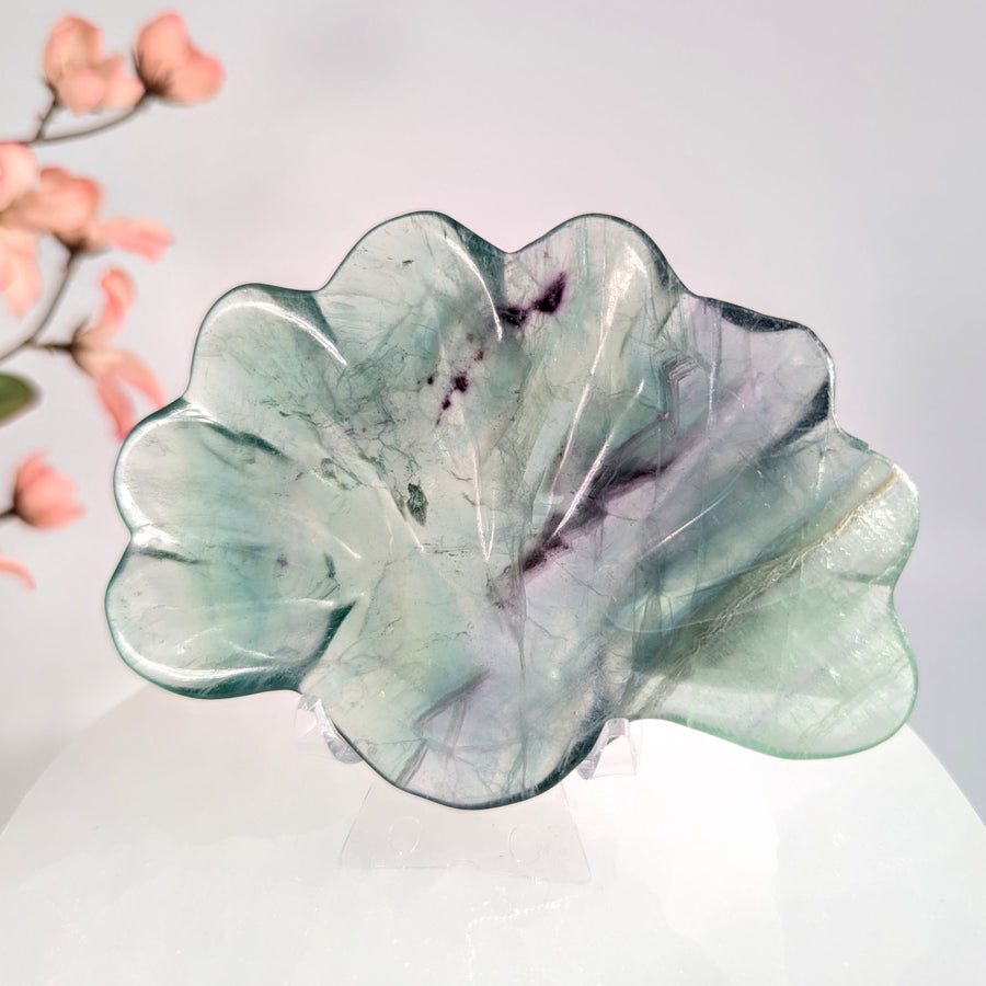 Fluorite 4’’ Shell Bowl #LV8935 - $39