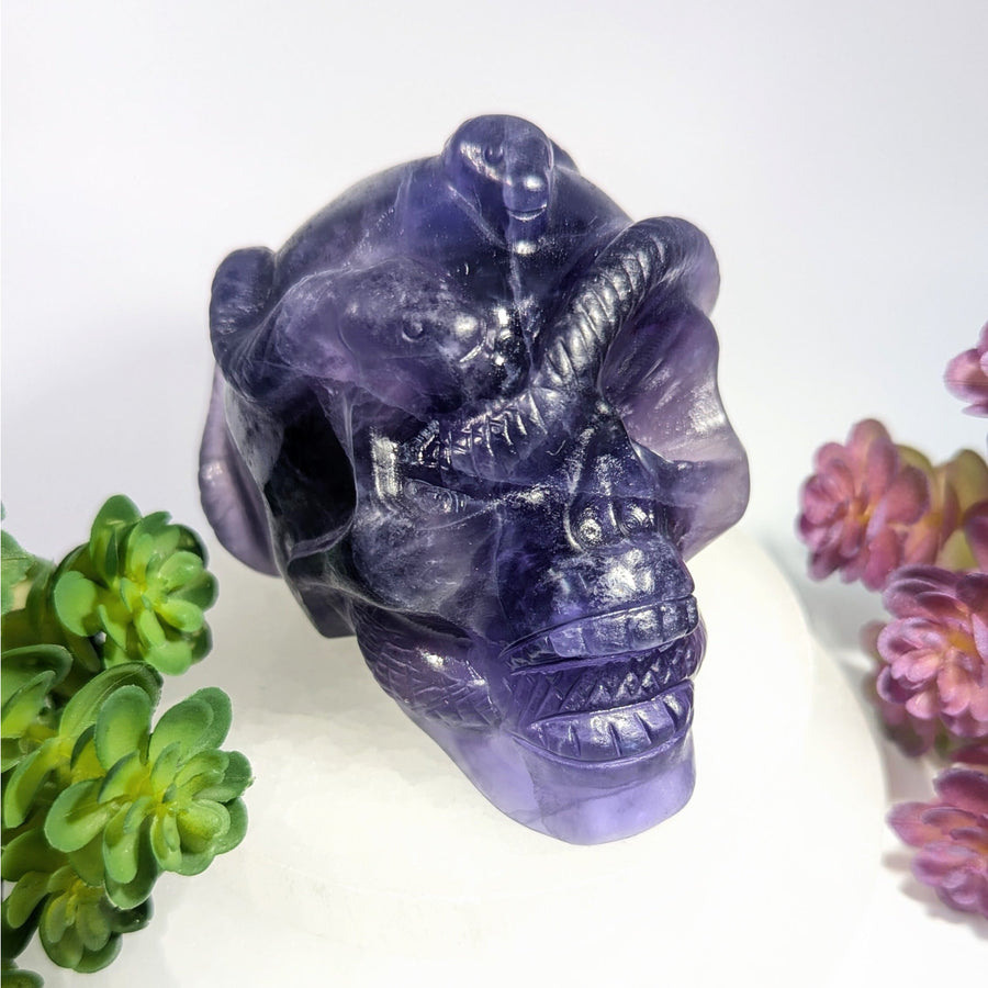 Fluorite 4’’ Skull w Snakes #BC0036 - $230