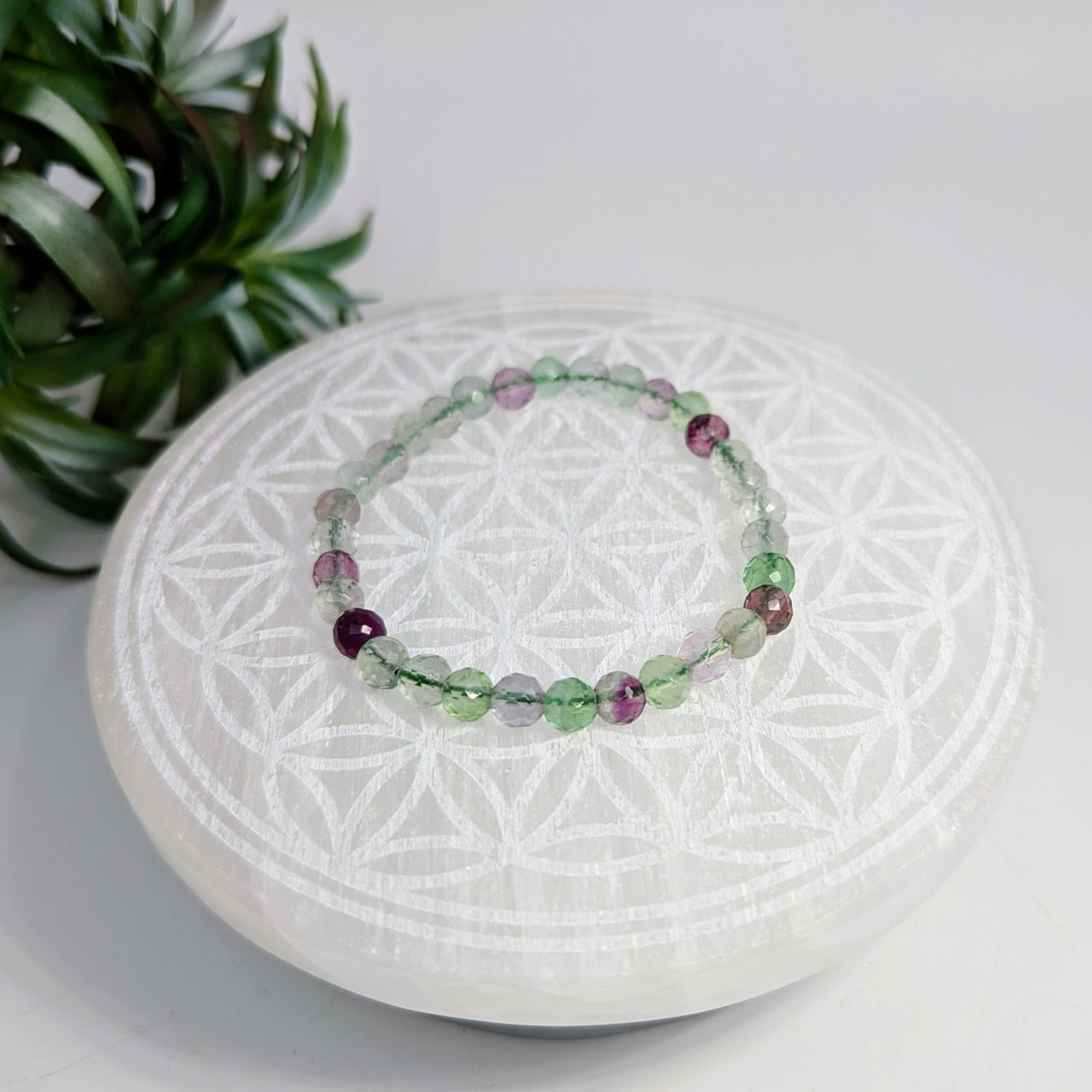 Colorful beaded Fluorite faceted 7-inch bracelet with 6mm beads displayed