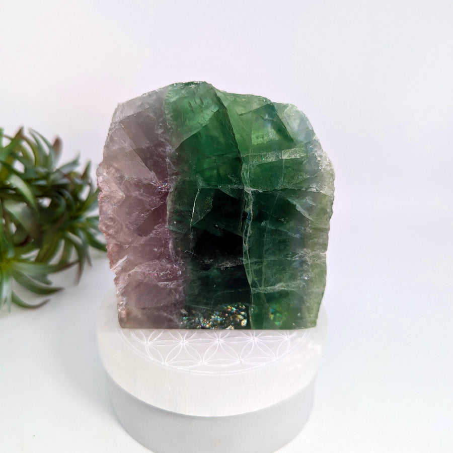 Polychromatic fluorite crystal polished freeform for Fluorite Half 3.8 inch model LV7707