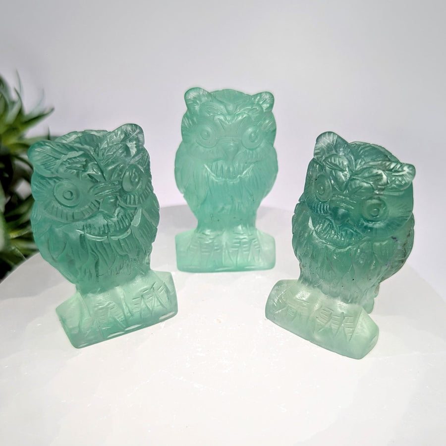 Fluorite Owl 2’’ Bird Carving #LV9236 - $42