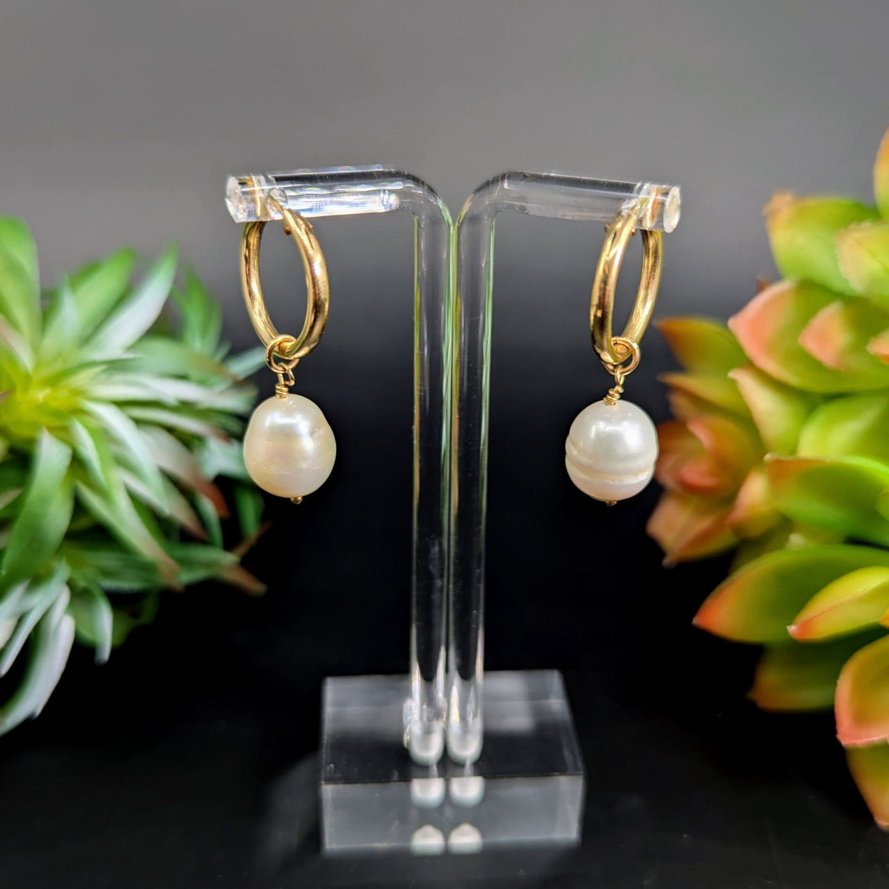 Elegant gold fill freshwater pearl 1.5-inch huggie hoop earrings LV8873