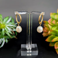 Elegant gold fill freshwater pearl 1.5-inch huggie hoop earrings LV8873