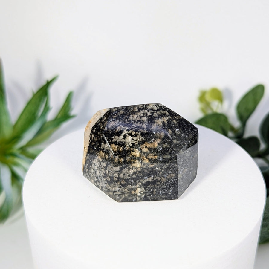 Polished black and tan Crystal Point for Garden Quartz Mini Generator #LV8782