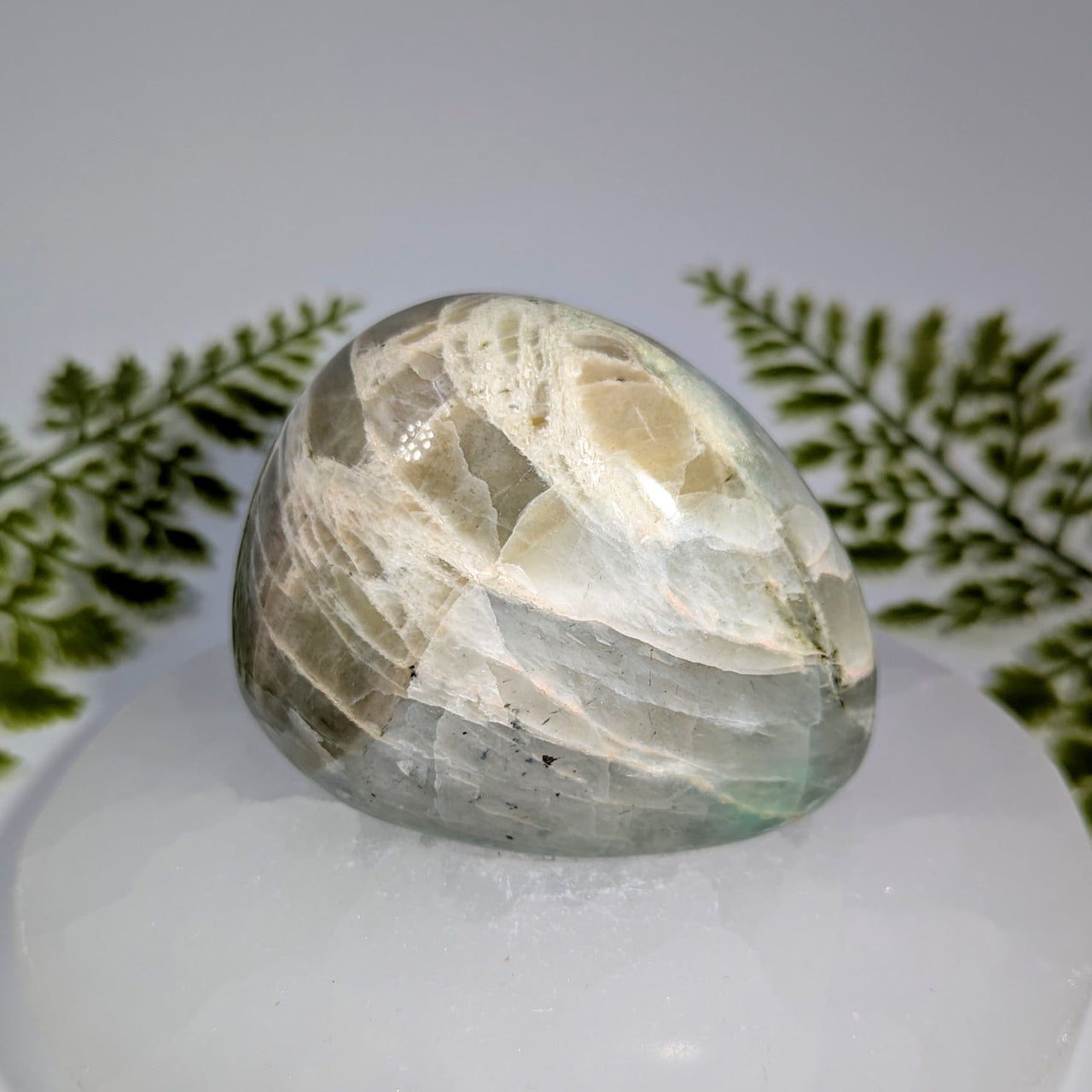 Translucent oval fluorite geode with pale green white swirls Garnierite 3in #BC1021