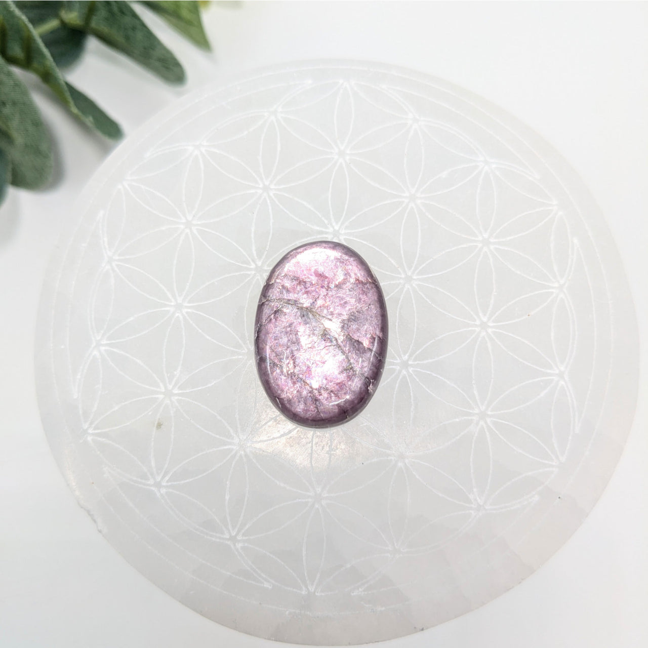 Gem Lepidolite 1.2’’ Oval Cabachon #LV6041 - $79