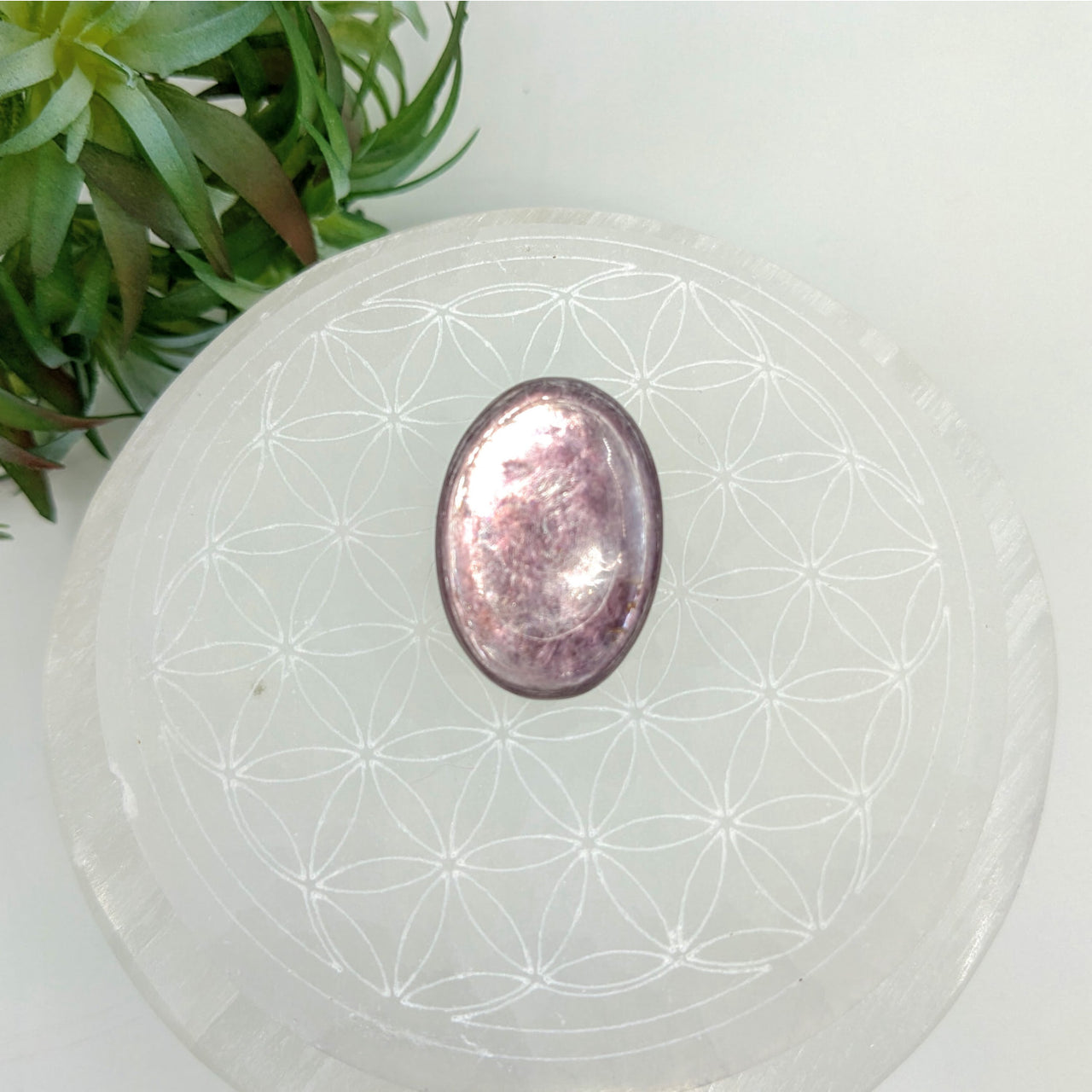 Gem Lepidolite 1.3’’ Cabachon #LV5681 - $98