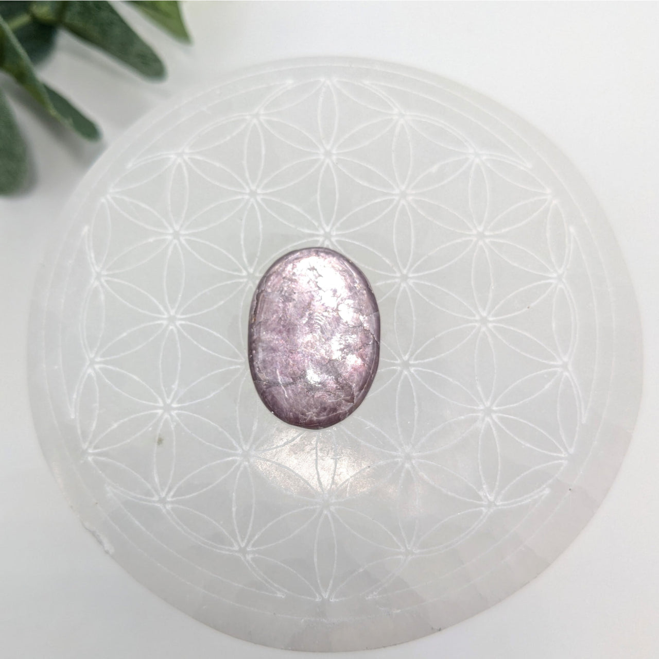 Gem Lepidolite 1’’ Oval Cabachon #LV6042 - $49