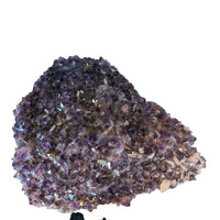 Thumbnail for Amethite crystal cluster with purple and blue crystals in Giant Amethyst Calcite Geode #LV4775