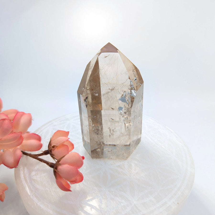 Smoky Quartz Crystal Point from Gold Rutilated 2.8 Inch Quartz Generator LV7760