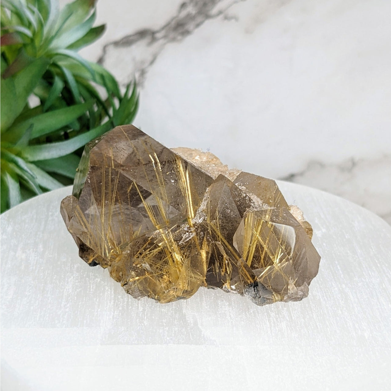 Gold Rutilated Quartz Cluster 2.3’ - Large Rock with Natural Quartz | LV4013 Decor