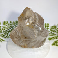 Gold Rutilated Quartz 4
