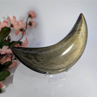 Polished crescent-shaped Goldsheen Obsidian crystal with golden sheen for Carving #LV9305