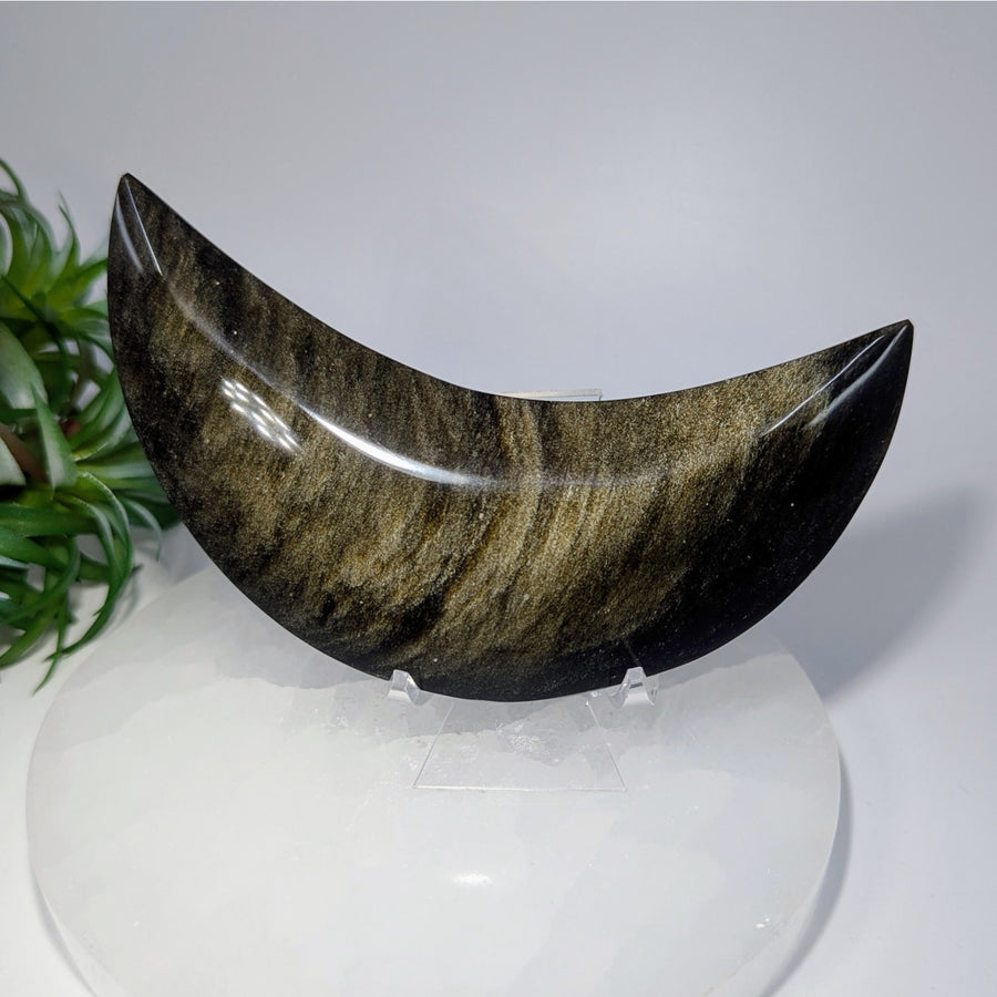Goldsheen Obsidian 5’’ Polished Crescent Moon #LV9406 $88