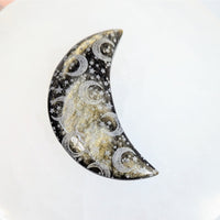 Goldsheen Obsidian Moon 2.6-inch decorative crescent moon with glitter and etched stars