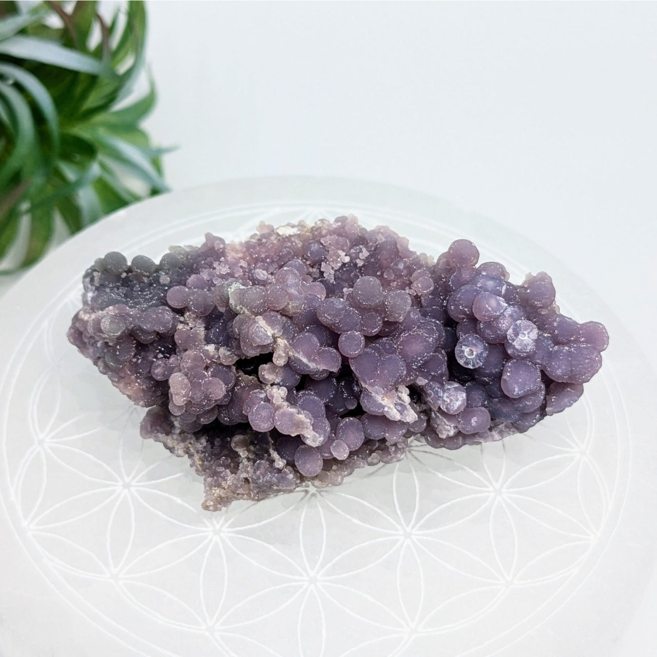 Purple grape agate cluster displaying natural purple chalcedony agate mineral specimen