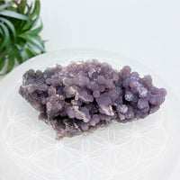 Purple grape agate cluster displaying natural purple chalcedony agate mineral specimen