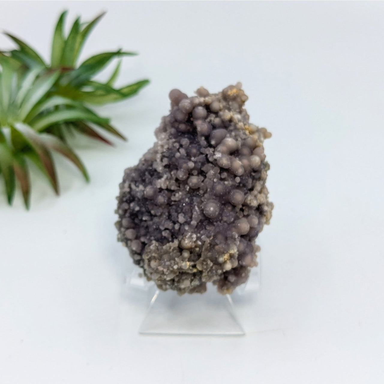 Grape Agate 2.6’’ Cluster Specimen #LV6809 - $39