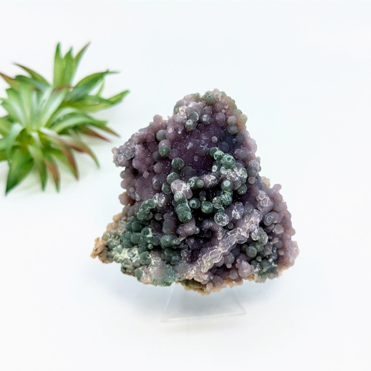 Grape Agate 2.7’’ Cluster Specimen #LV6808 - $89