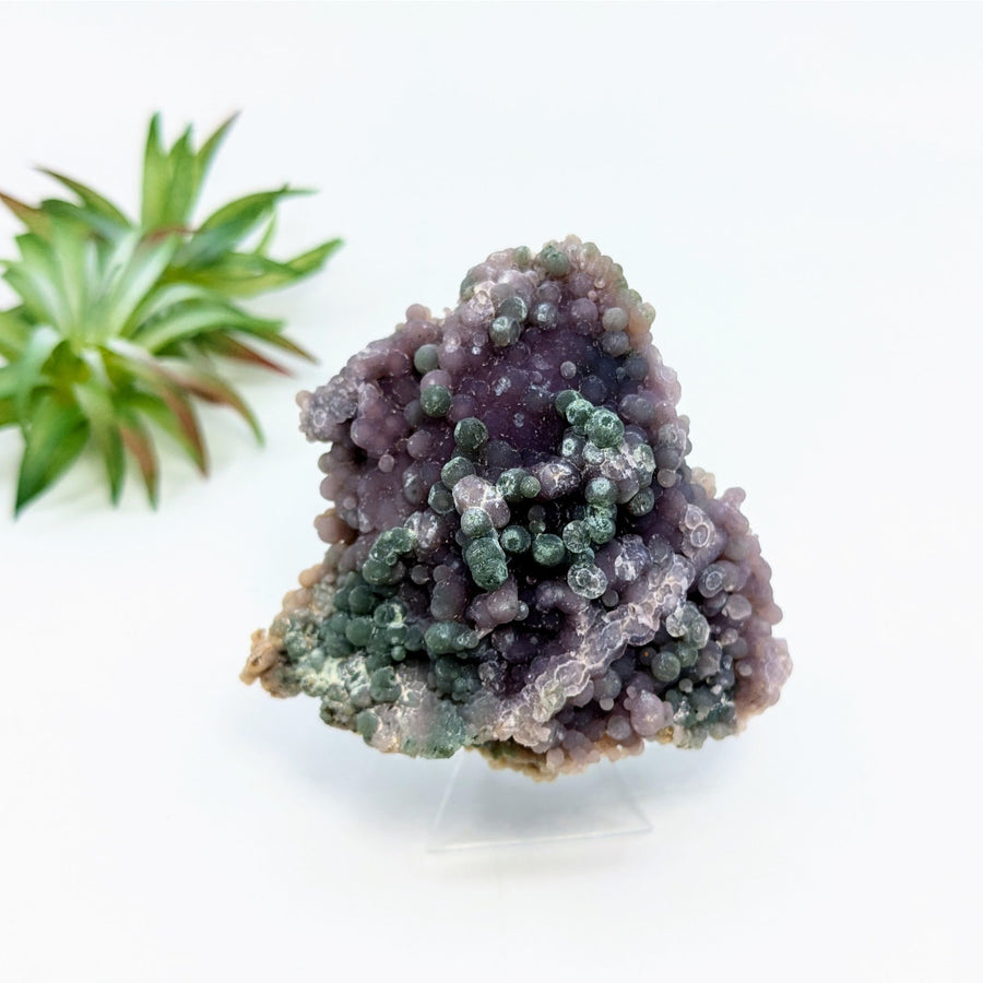 Grape Agate 2.7’’ Cluster Specimen #LV6808 - $89