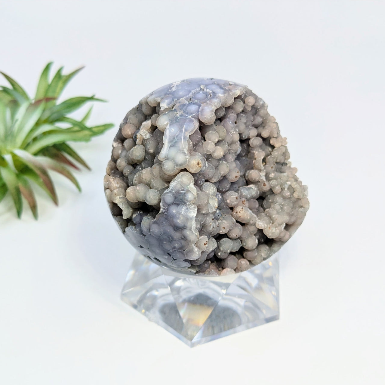 Grape Agate 2.9’’ Sphere #LV6803 - $280