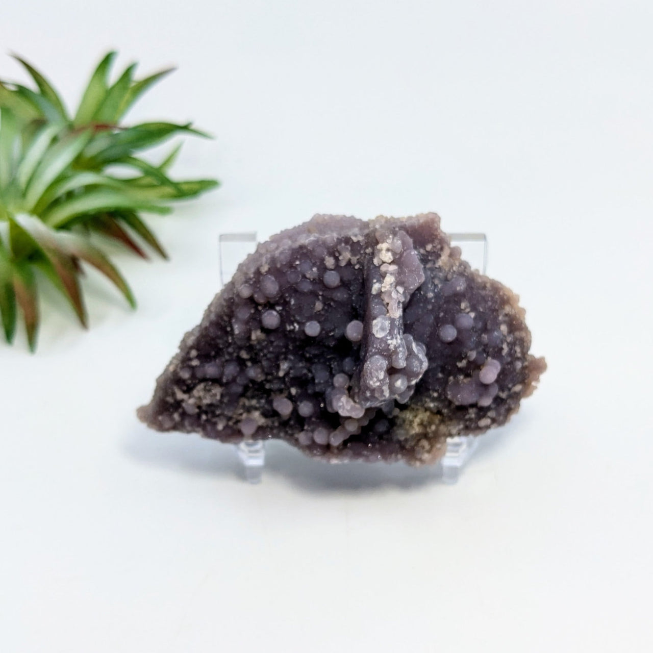 Dark purple-gray Grape Agate chalcedony agate cluster specimen with crystalline formations