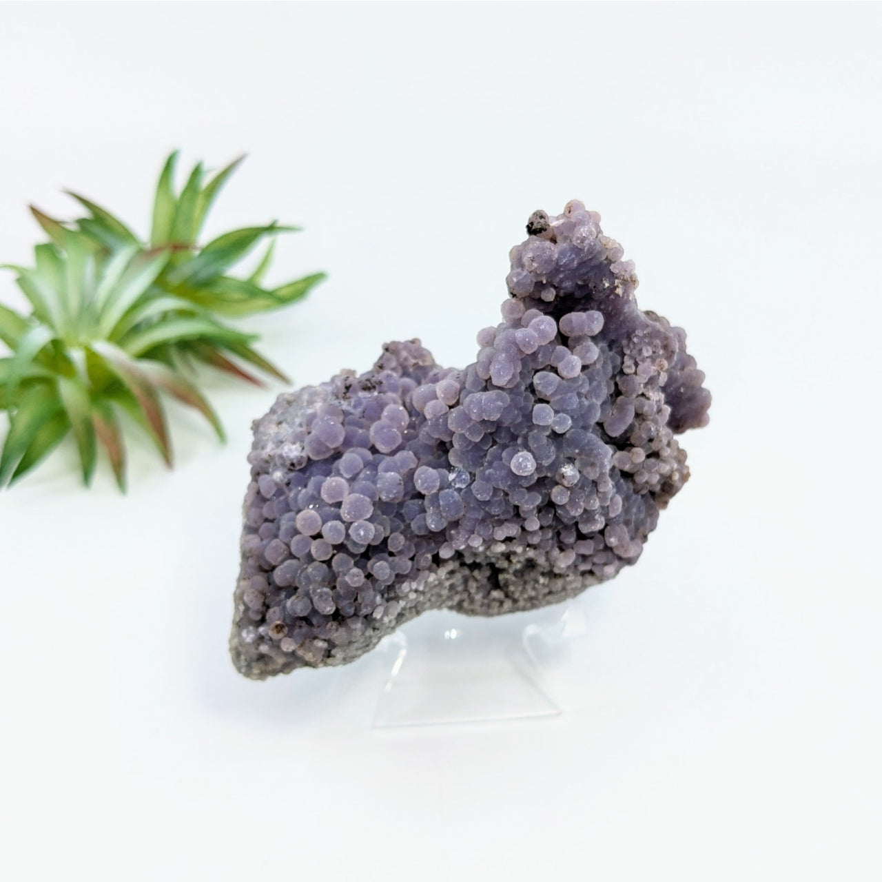 Grape Agate 3.5’’ Cluster Specimen #LV6807 - $85