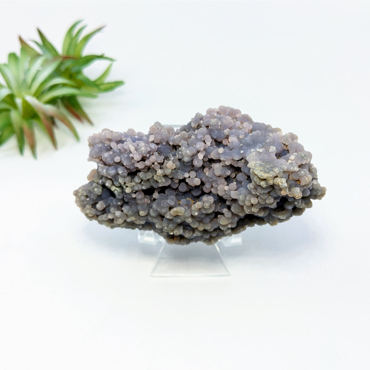 Grape Agate 3.6’’ Cluster Specimen #LV6806 - $78